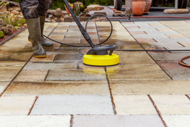 Best Roof Cleaning and Mildew Removal in Bullard, TX